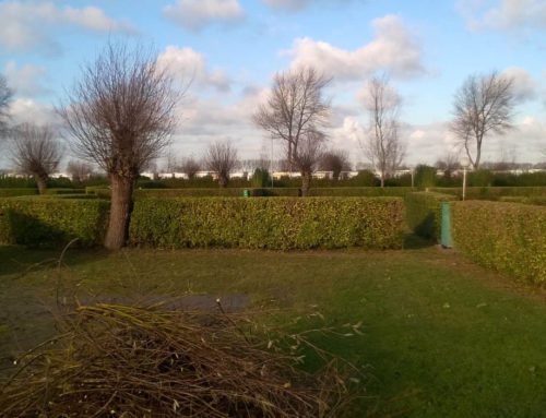 Groen 1